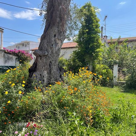Aurelia Seaside Apartment Kavos Exterior photo