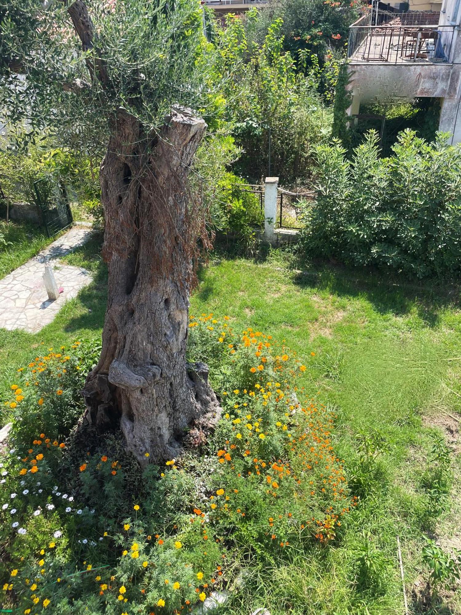 Aurelia Seaside Apartment Kavos Exterior photo